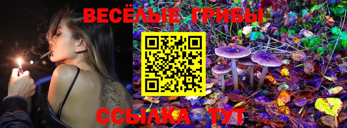 Галлюциногенные грибы Cubensis  Вход с VPN  где купить наркоту  Россошь 